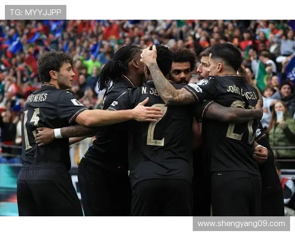 葡萄牙2026世界杯预选赛完整赛程解析与晋级前景深度分析