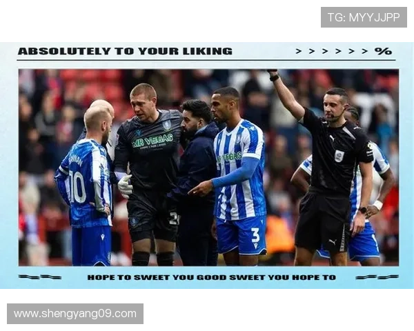 谢菲尔德星期三俱乐部迎来新赛季调整与未来发展最新动向解析